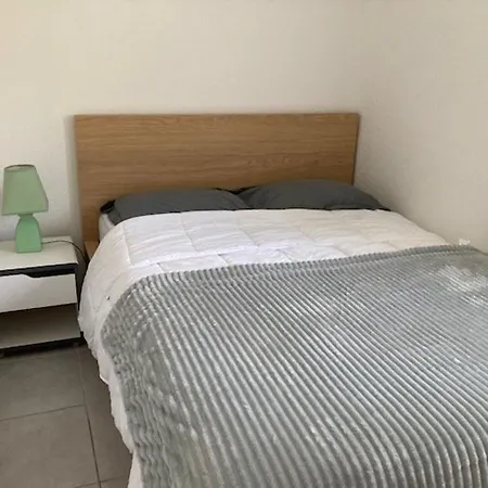 Mazet Au Lavandou Avec Piscine, Proche Et Commodites - Fr-1-308-85 * 르 라방두